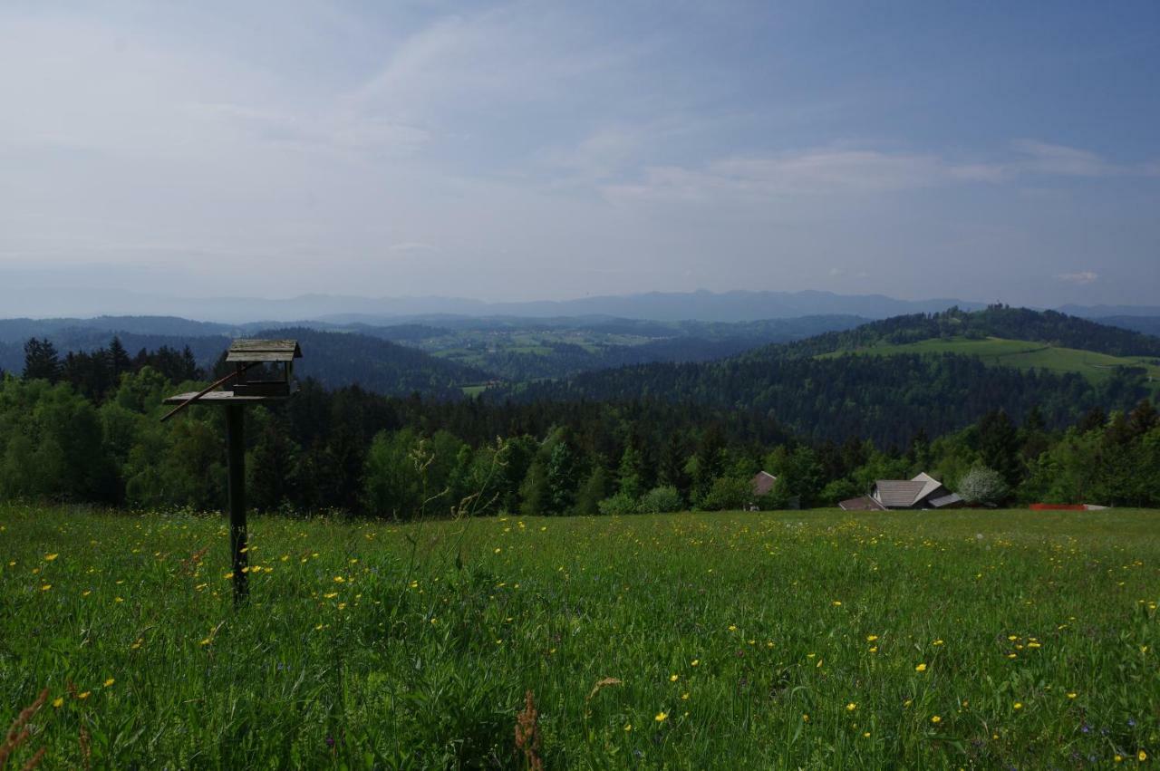 Holiday Home Forest Peace, Lavrovec Hlevni Vrh Exterior foto